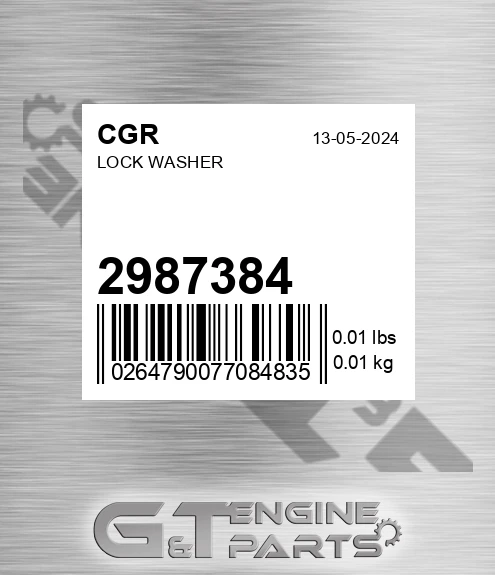 2987384 Lock Washer