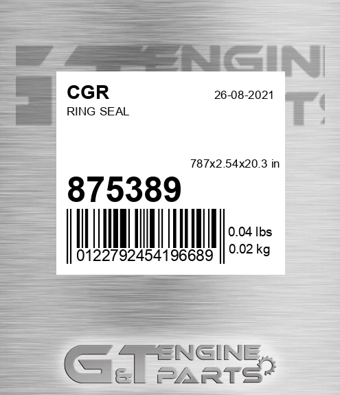 875389 Ring Seal