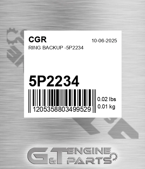 5P2234 Ring Backup -