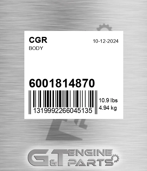 6001814870 Body