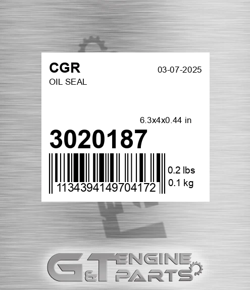 3020187 Oil Seal