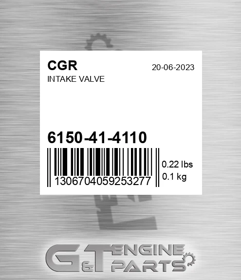 6150-41-4110 Intake Valve for CGR
