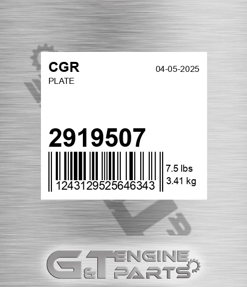 2919507 CGR Plate