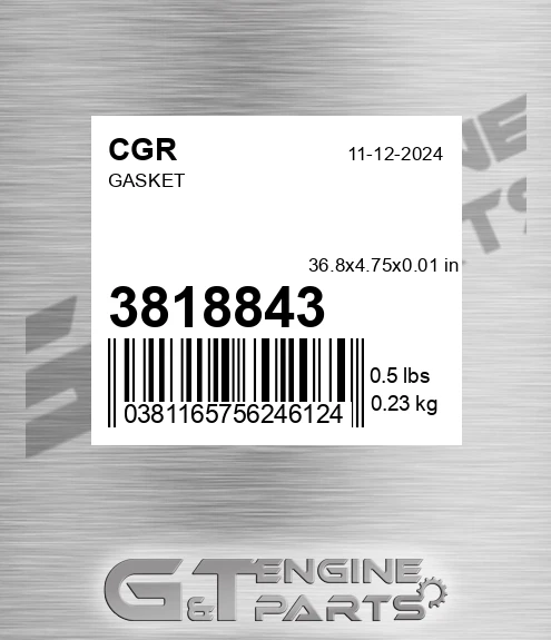 3818843 CGR Gasket