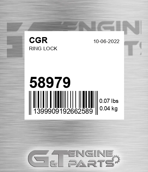 58979 Ring Lock