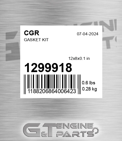 1299918 CGR Gasket Kit