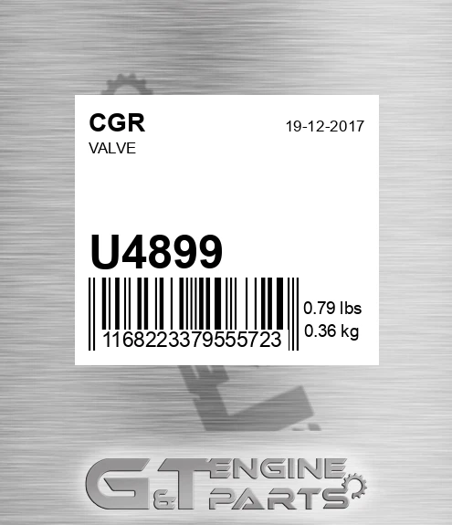 U4899 Valve
