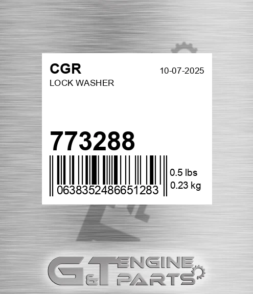 773288 CGR Lock Washer