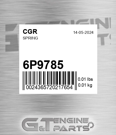 6P9785 Spring