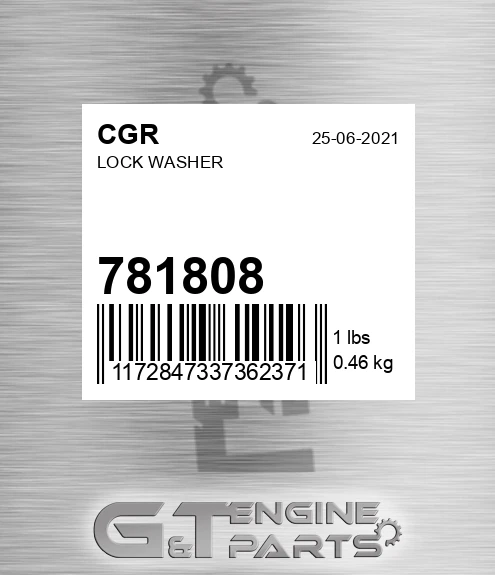 781808 Lock Washer