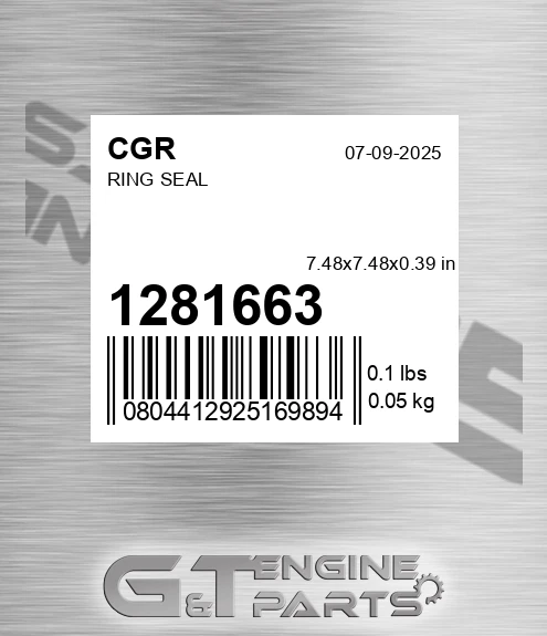 1281663 CGR Ring Seal