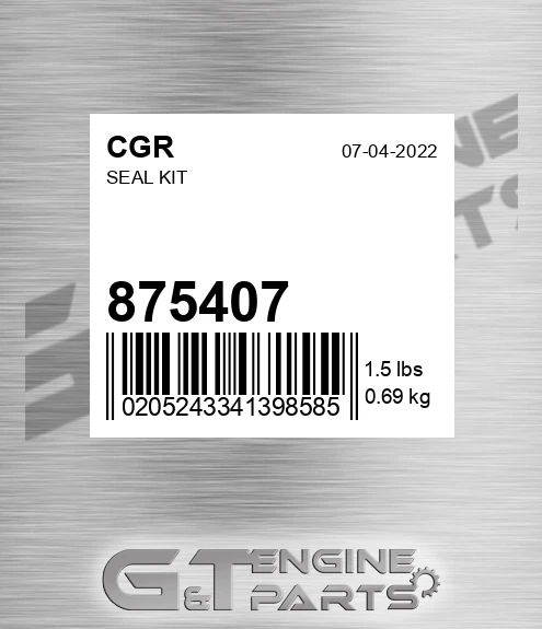 875407 Seal Kit