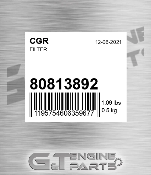 80813892 Filter