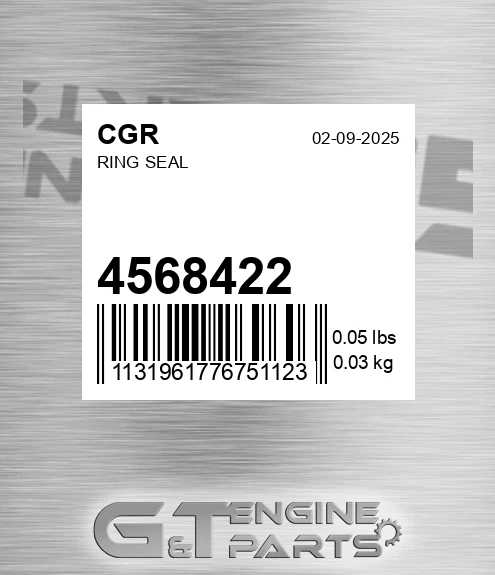 4568422 Ring Seal