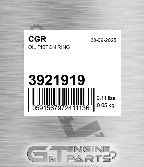 3921919 Oil Piston Ring