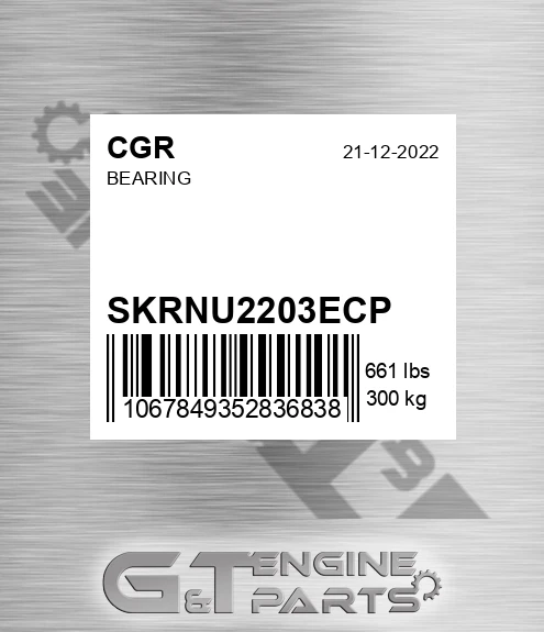 SKRNU2203ECP CGR Bearing