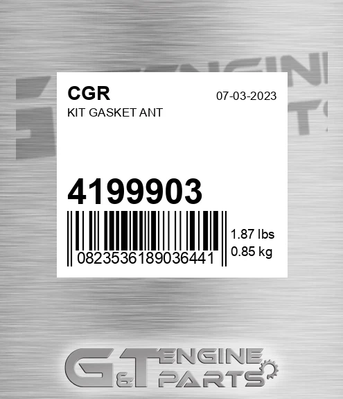 4199903 Kit Gasket Ant