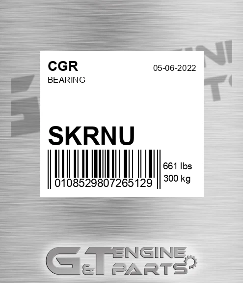 SKRNU CGR Bearing