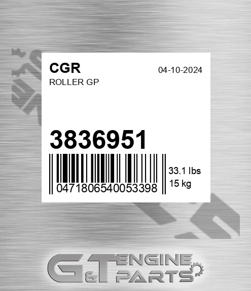 3836951 Roller Gp