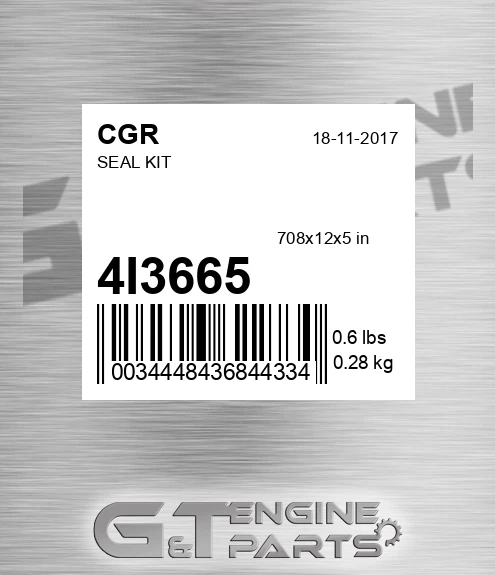 4I3665 Seal Kit