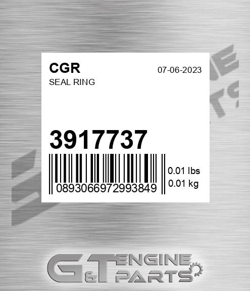 3917737 Seal Ring
