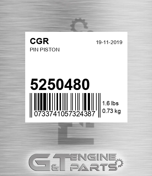 5250480 Pin Piston