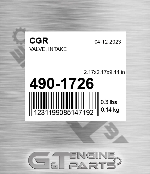490-1726 CGR Valve, Intake