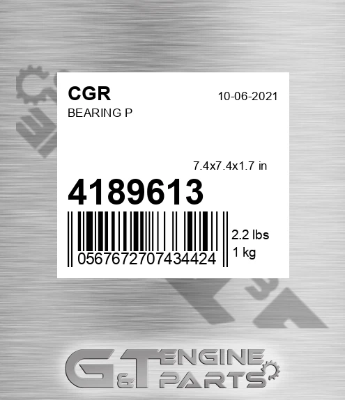 4189613 CGR Bearing P