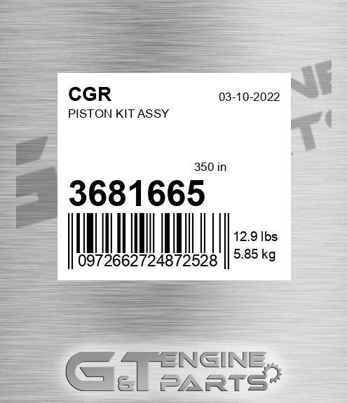 3681665 Piston Kit Assy