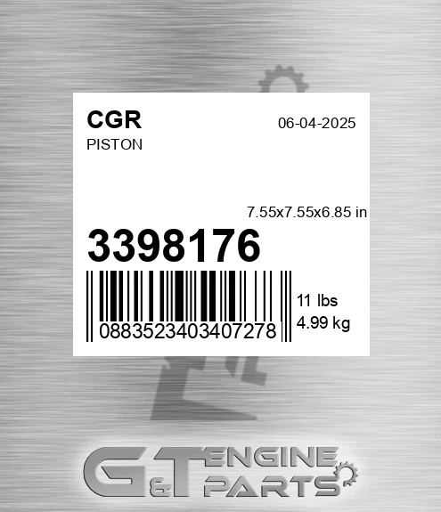 3398176 Piston