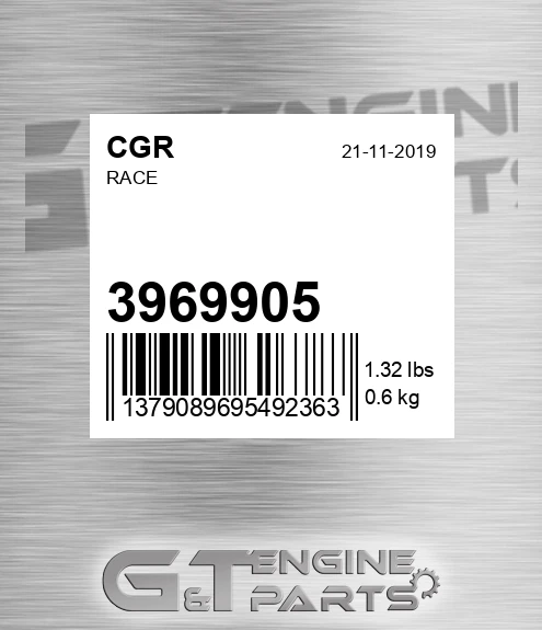 3969905 Race