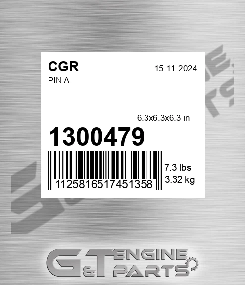1300479 Pin A.