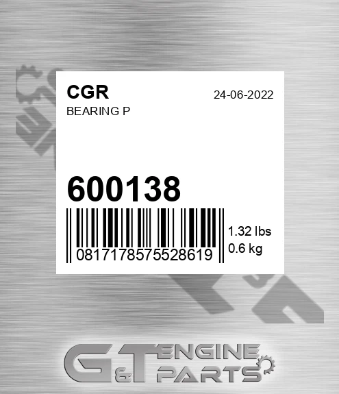 600138 Bearing P