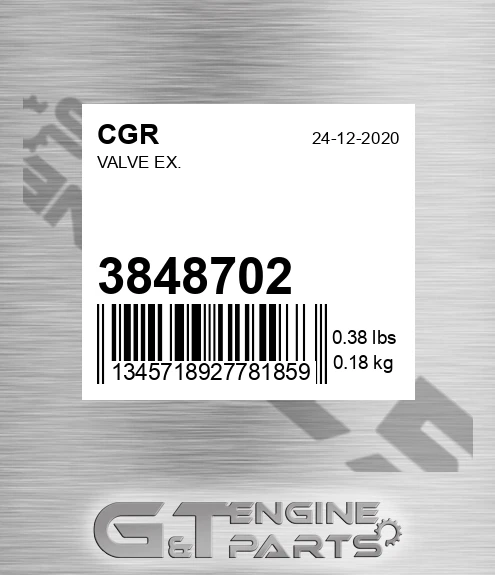 3848702 Valve Ex.