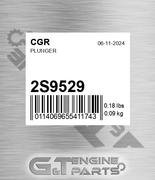 2S9529 Plunger