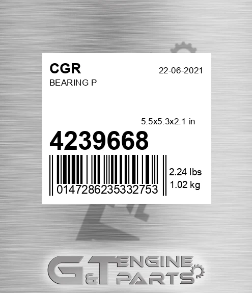 4239668 CGR Bearing P