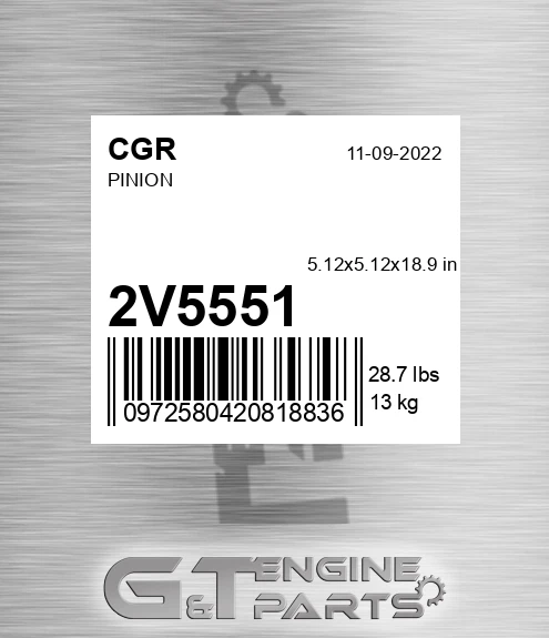 2V5551 Pinion