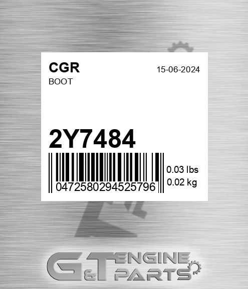 2Y7484 Boot