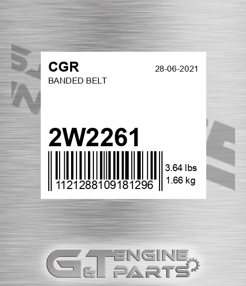 2W2261 Banded Belt