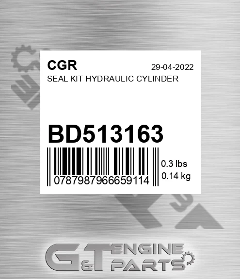 BD513163 CGR Seal Kit Hydraulic Cylinder