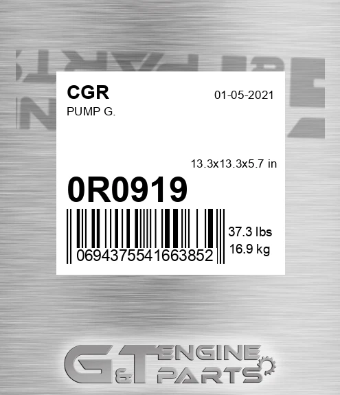 0R0919 Pump G. for CGR