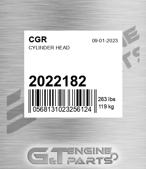 2022182 Cylinder Head