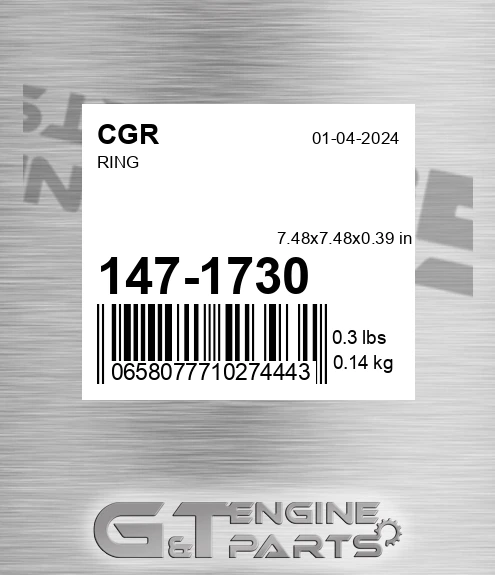 147-1730 Ring