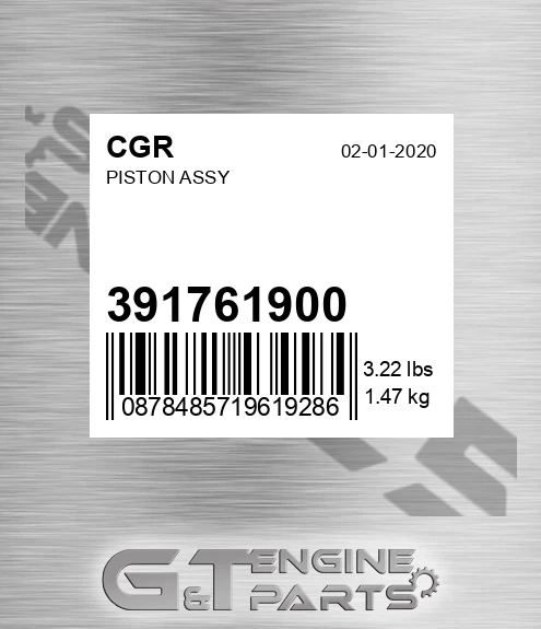 391761900 Piston Assy