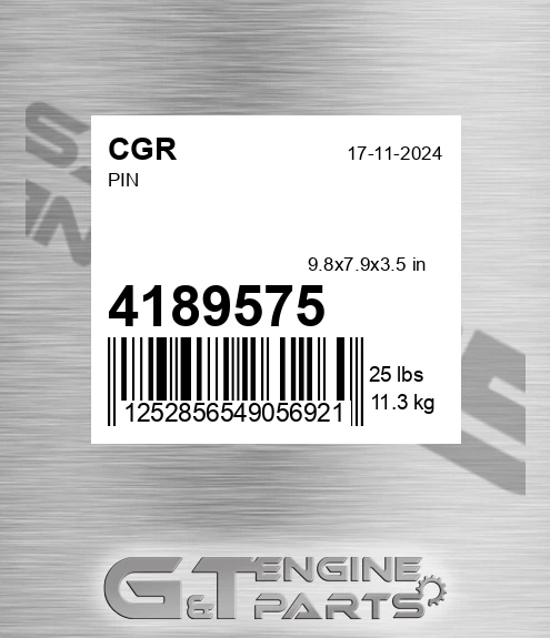 4189575 Pin