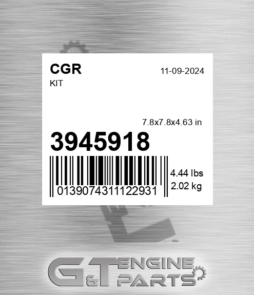 3945918 Kit