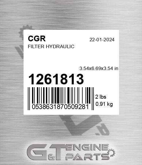 1261813 Filter Hydraulic