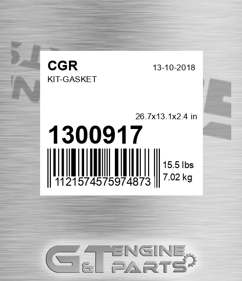 1300917 Kit-gasket