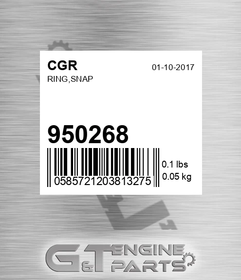 950268 Ring,snap