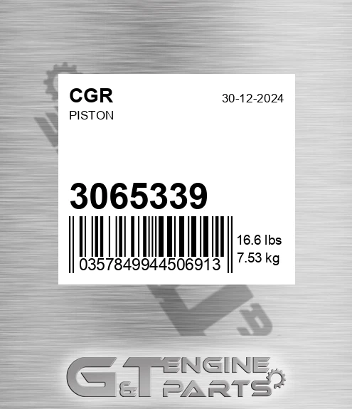 3065339 Piston